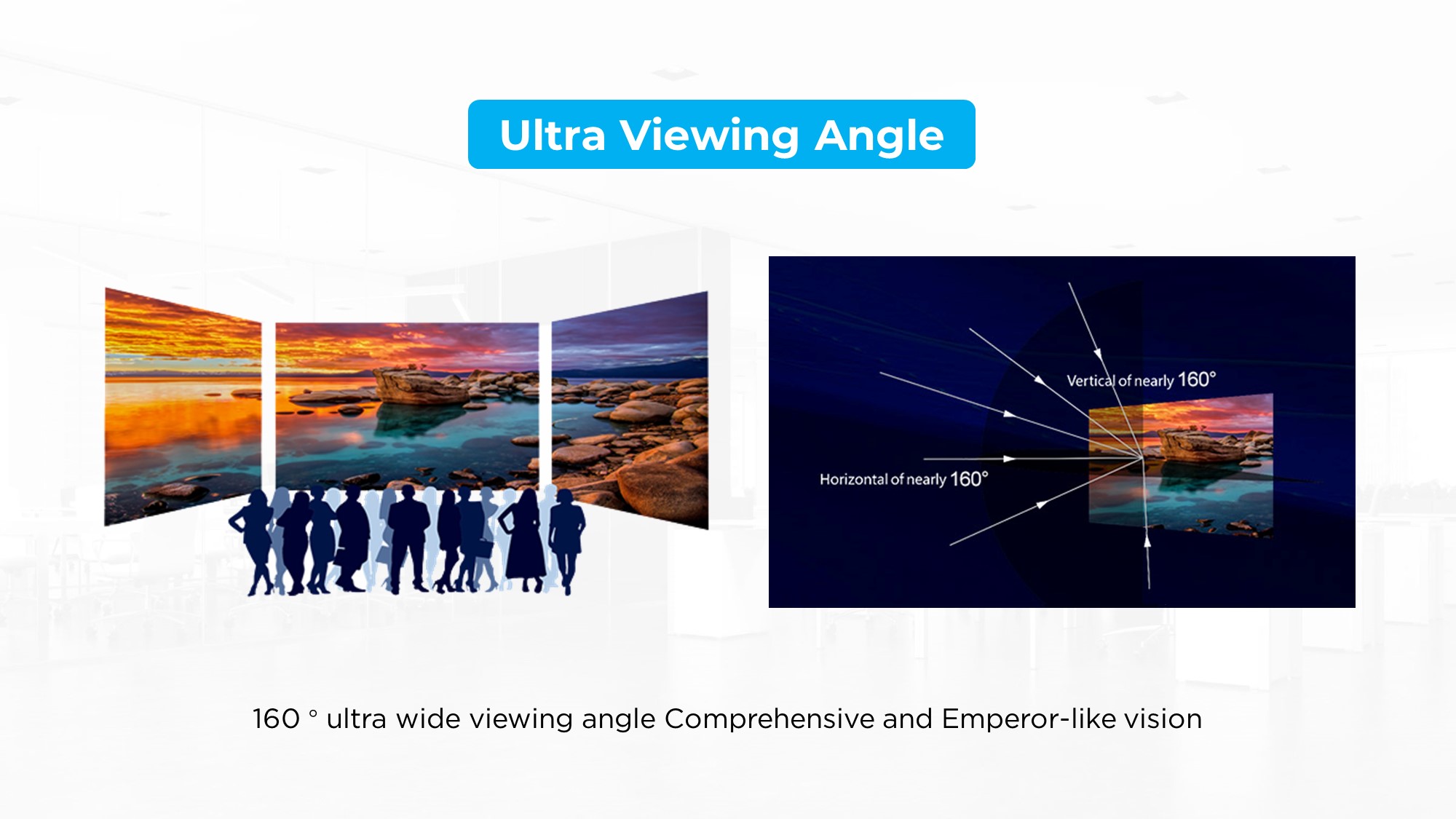 Wide viewing angle Amplo ângulo de visão