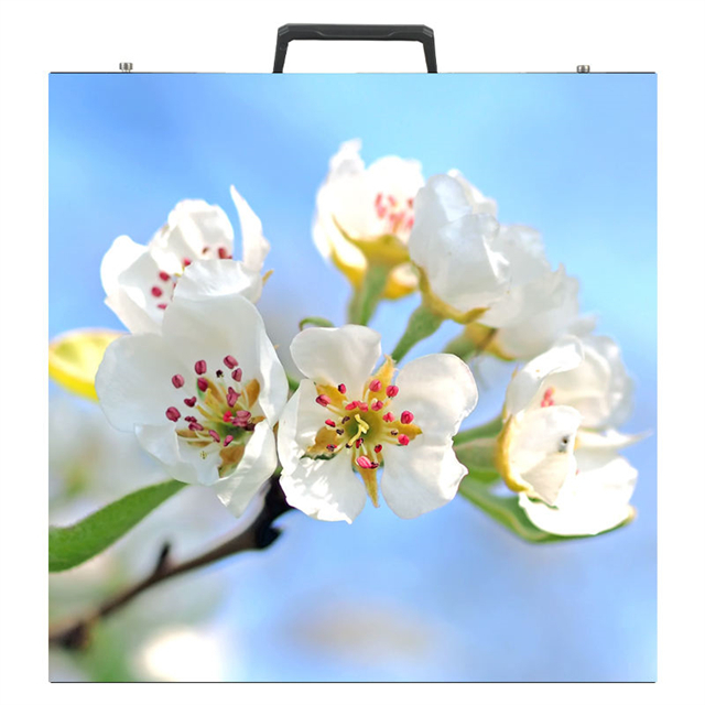 O fundo gigante exterior da fase de 500x500mm conduziu a parede video P3.91 de emenda sem emenda alugado tela de exposição do diodo emissor de luz